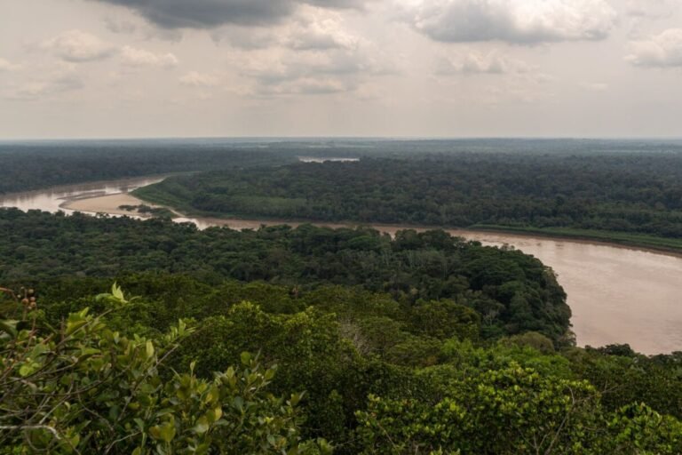 4 Missing Children Found Alive After 40 Days in Colombian Jungle — Here’s What We Know