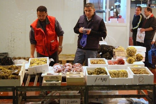 Visiting Mercamadrid: The Second-Largest Fish Market in the World