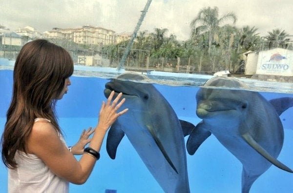 7 Kid-Friendly Activities in Malaga That Everyone Will Love 7 Kid-Friendly Activities in Malaga That Everyone Will Love