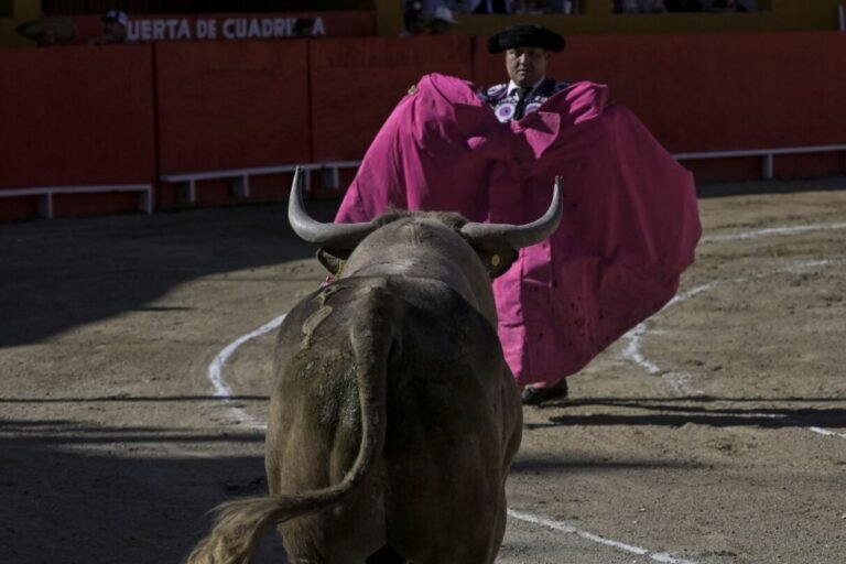Mexico’s Supreme Court Lifts Ban on Bullfighting — Here’s What We Know